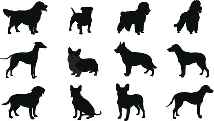  Dog breed silhouette set, black vector illustration of twelve canine profiles, standing pose comparison, pet diversity design, domestic animal identification graphic