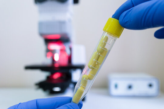 A test tube with medicine in capsules, experimental tablets in the form of capsules, a working microscope in the background.