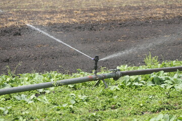 Bewässern in der Landwirtschaft