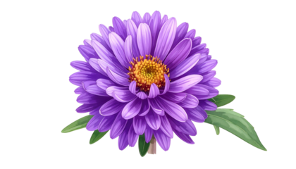 Close-up of a vibrant purple flower with yellow center and green leaves