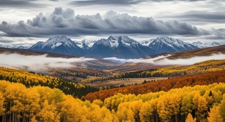 Autumn forest valley with misty fog leading to snowcapped mountains under cloudy sky
