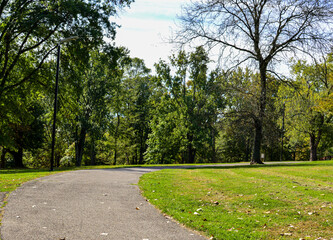 Curving Pathway Through a Green Park Landscape