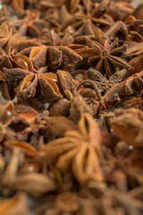Star anise close up macro in vertical