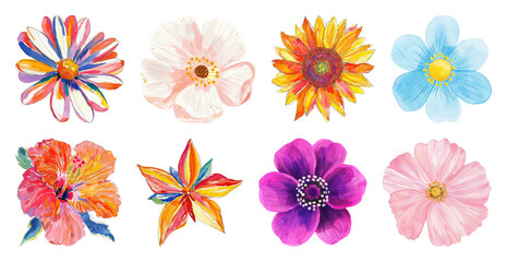 Obraz premium PNG Vibrant watercolor floral collection, element set on transparent background