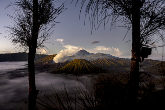 View of a majestic volcano rises above a sea of ethereal mist, framed by the dark silhouettes of foreground trees, creating a dramatic scene, Bromo, East Java, Indonesia.
