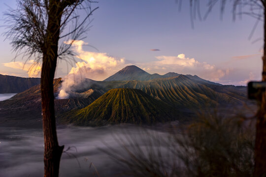 View of the imposing volcano, shrouded in ethereal mist, its slopes glowing under the warm light, framed by the silhouettes of trees, Bromo, East Java, Indonesia.