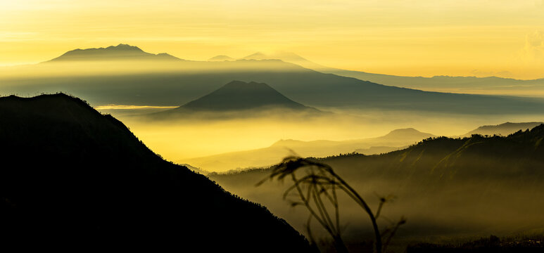 View of golden sunlight washes over the misty mountain range, silhouetting the peaks and foreground flora in an ethereal glow, Bromo, East Java, Indonesia.