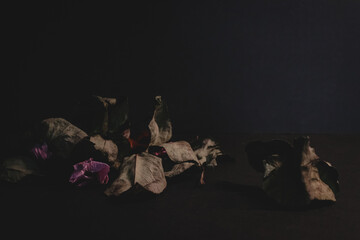Dark still life highlighting decay and fragility concept