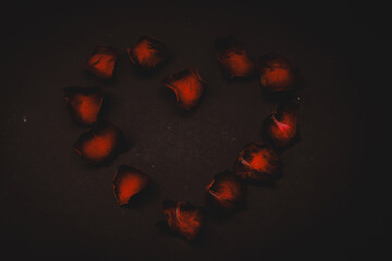 Rose petals forming heart shape on dark background