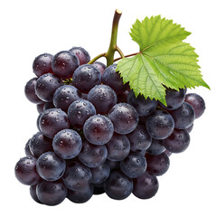 Fototapeta premium Dark Purple Grapes with Water Droplets and Green Leaf