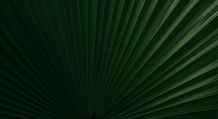 Obraz premium Deep emerald palm leaf texture offers a stunning natural pattern for vibrant, organic backgrounds and serene, refreshing designs.