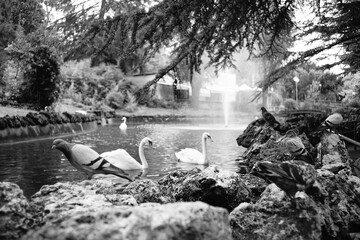 Fototapete bei efototapeten.de bestellen   