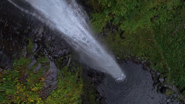 秋の阿弥陀ヶ滝（岐阜県郡上市白鳥町）
白山信仰の行者が身を清めた神聖な滝