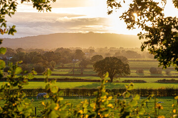 Sunset at May Hill near Longhope in the Forest of Dean, Gloucestershire, England UK