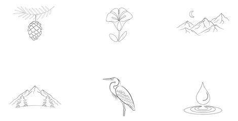 Fototapeta premium Pinecone flower mountains heron water drop branch petal