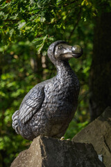 A beautiful statue of the extinct dodo bird on a rock outdoors in front of a forest.
