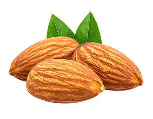 Three whole almonds with green leaves isolated on transparent background