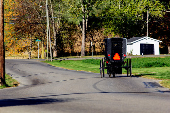 Amish Buggy Moving Along a Town Street, Sugarcreek, Ohio