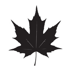 Black Silhouette of a Maple Leaf with Veins on a White Background vector illustration