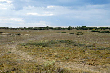 Obraz premium -56--44647.JPG