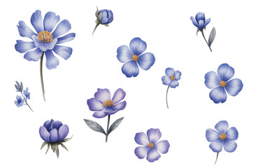 Blue flax watercolor floral set. Elegant blue wildflower watercolor collection.

