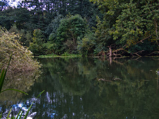 Natürlicher Flusslauf der Blies im Saarland, Deutschland