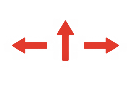 Red arrows showing direction, choice, navigation, and decision for an uncertain future path