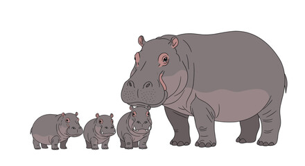 Family of hippos standing together in a row with the largest one.