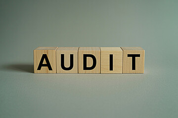 Understanding audit process: financial audit, tax audit, internal audit, compliance audit, it audit guide