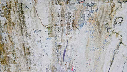 Close-up of a textured, weathered wall with peeling white paint, mold, water stains, paint splatters, and a spider web-like crack.