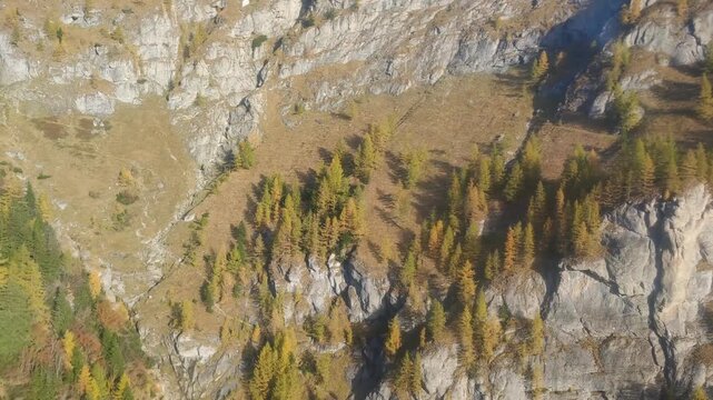 Majestic view of steep mountain slopes with golden larches in the Bucegi mountains near Busteni, Romania.