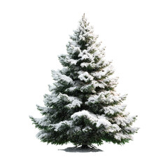 Snow-covered evergreen tree stands tall in winter landscape showcasing nature's beauty and seasonal charm isolated on transparent background