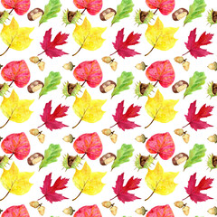 Colorful leaves seamless watercolor pattern, autumn, fall, Thanksgiving, backdrop, wallpaper, surface design, vibrant, botanical, realistic hand painted PNG with transparent background 