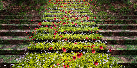 staircase surrounded by flowers and plants. green garden concept