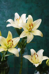 Naklejka premium Soft cream lilies bouquet in vases on textured green background – romantic decor or wedding theme