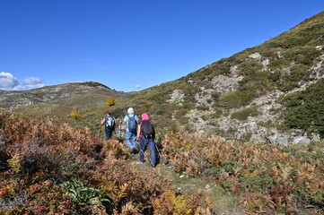 Fototapeta premium Autour d'Aullène en Corse du Sud