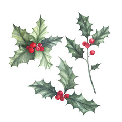 Christmas holly set with green leaves and red berries. Hand-painted watercolor illustration. Isolated on a white background. For invitational and greeting cards, scrapbooking, posters, prints.