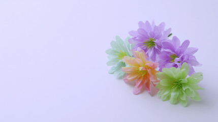 Pastel flower pastel daisy floral arrangement soft petals spring blossom colorful bouquet pastel flower pastel daisy floral arrangement soft petals spring blossom colorful bouquet gentle gradient