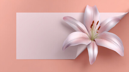 Soft pink lily on pastel paper with curled corner, delicate petals and romantic minimalist floral composition for wedding invitation or greeting card design