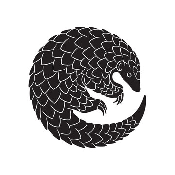 Pangolin silhouette vector. Curled scaly anteater logo icon