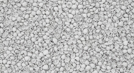 Close-up of white sea shells creating a textured beach pattern