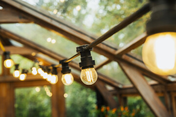 Warm outdoor string lights hanging inside a greenhouse with green foliage background