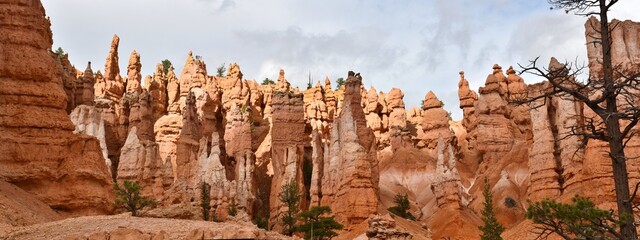 Orange hoodoos at sunrise in the amphitheater of Bryce Canyon National Park in Utah.