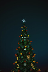 Decorated evergreen tree with colorful lights and ornaments at night, topped with a bright star.