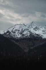 Mountains and forests, beautiful natural landscapes. Dombai and Arkhyz