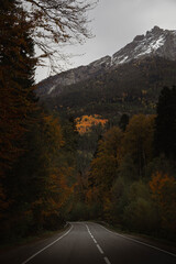 Mountains and forests, beautiful natural landscapes. Dombai and Arkhyz