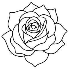 Minimalist Rose Line Art Vector One Line Drawing in Elegant Minimal Style