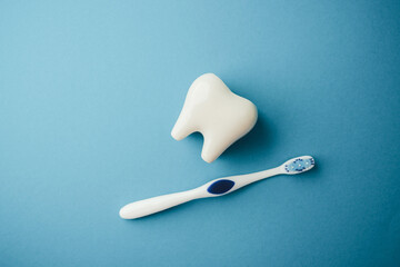 A white tooth model and a toothbrush rest on a bright blue background surface. © reddish