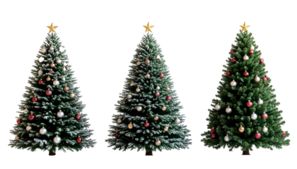 Three christmas trees decorated with ornaments and gold stars, arranged side by side on clean white background