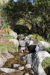 Autour d'Aullène en Corse du Sud